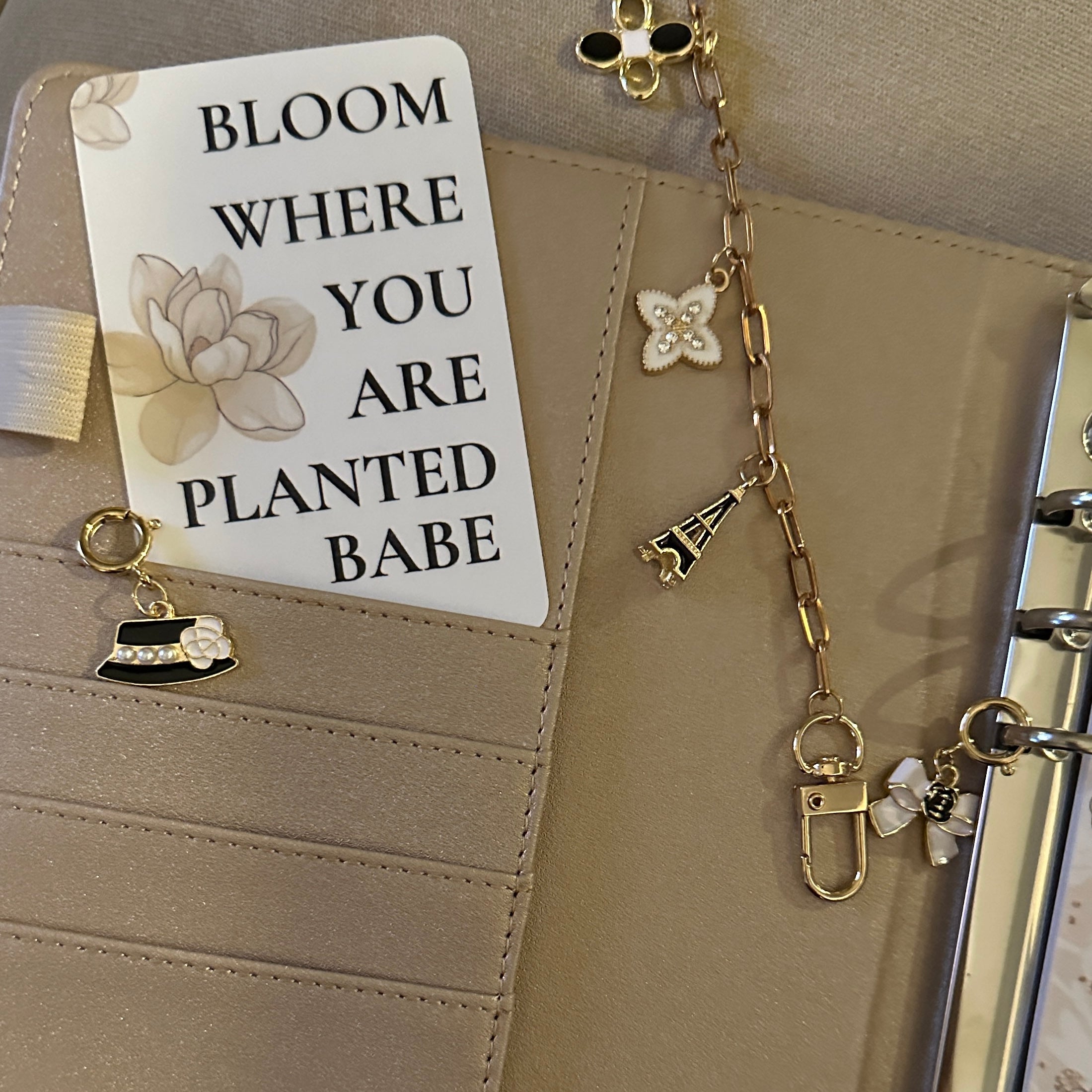 Budget Essential
