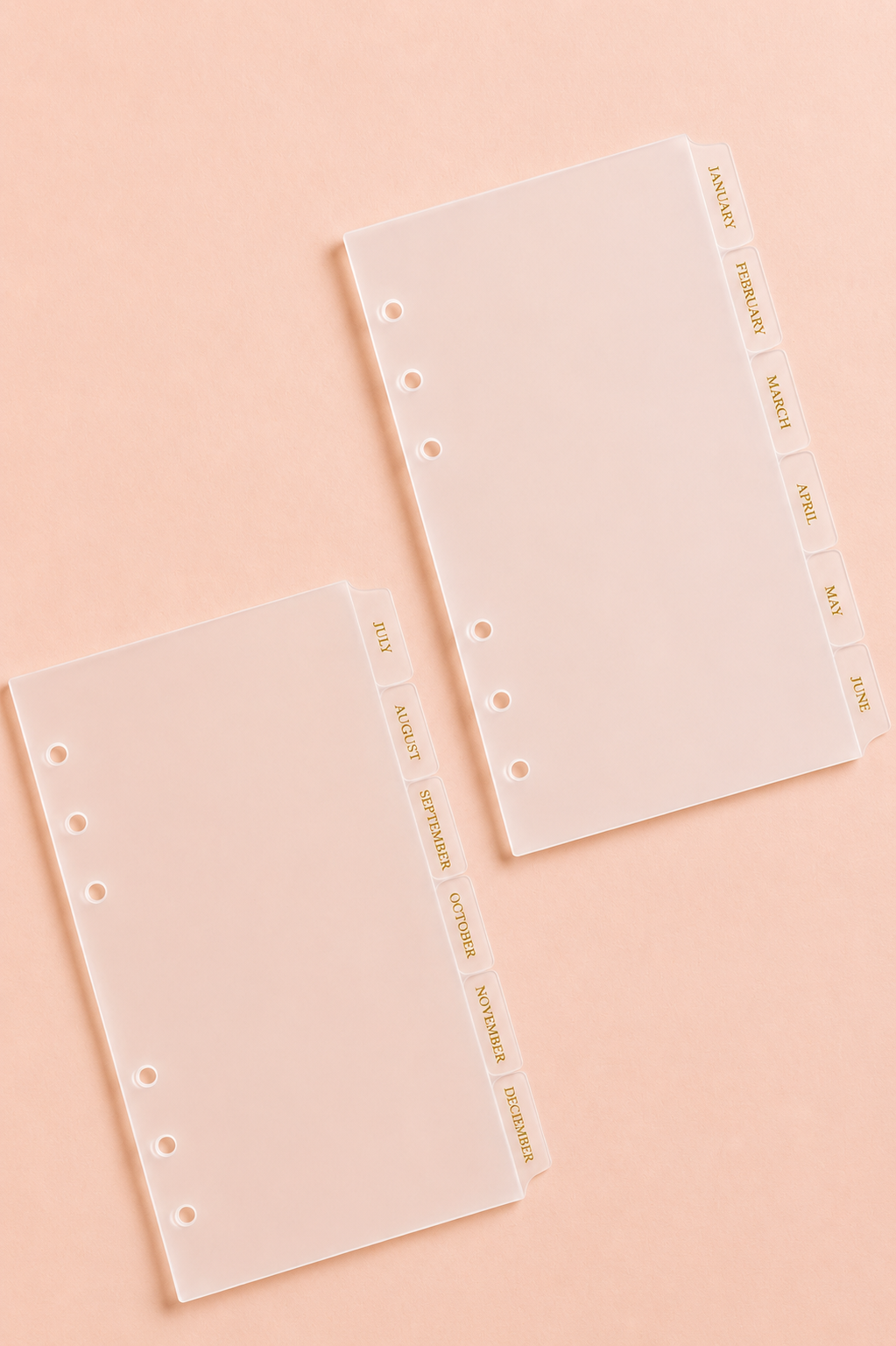 A6 Monthly Tab Dividers