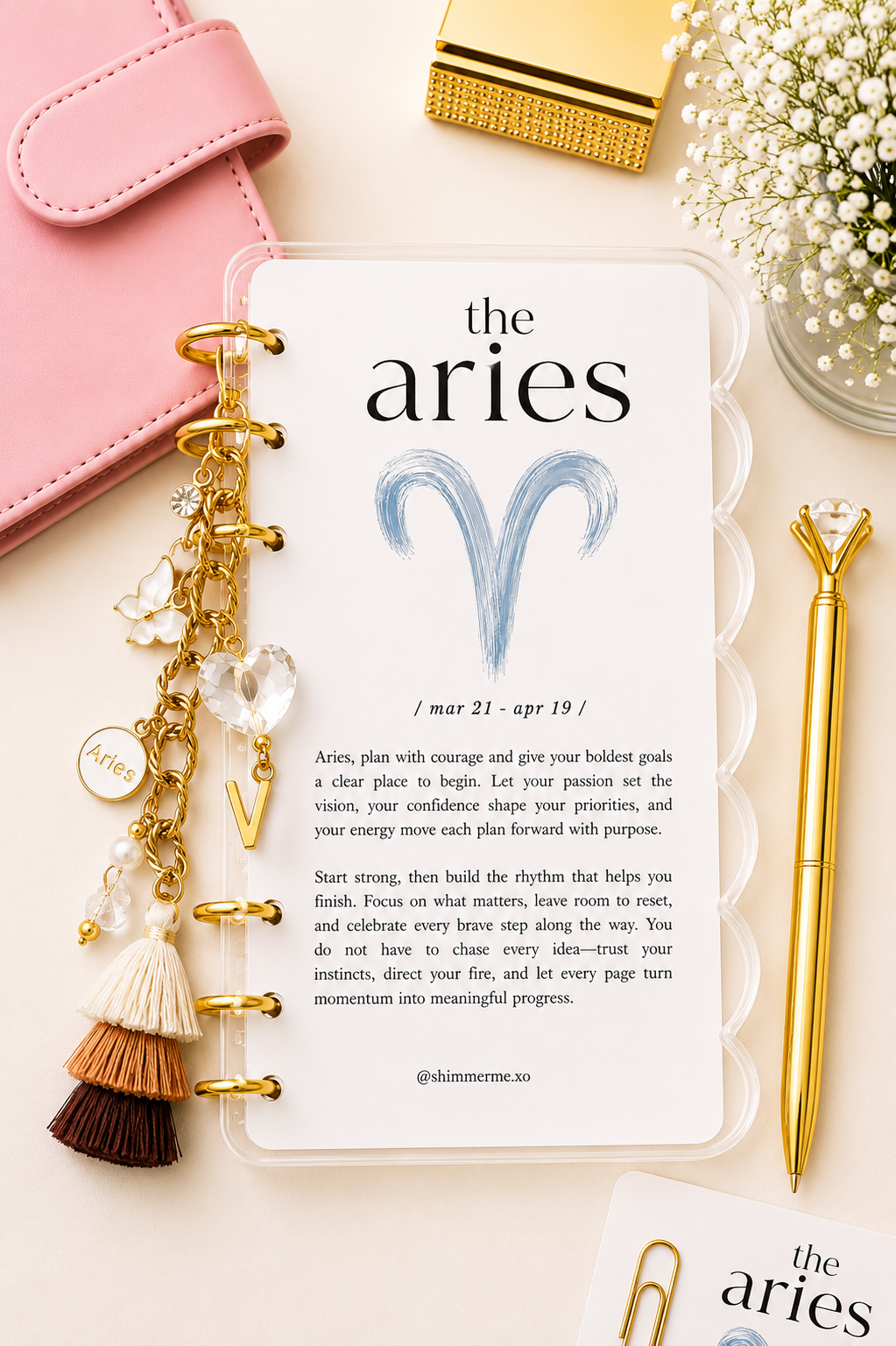 The Zodiac Edit Acrylic Planner Collection